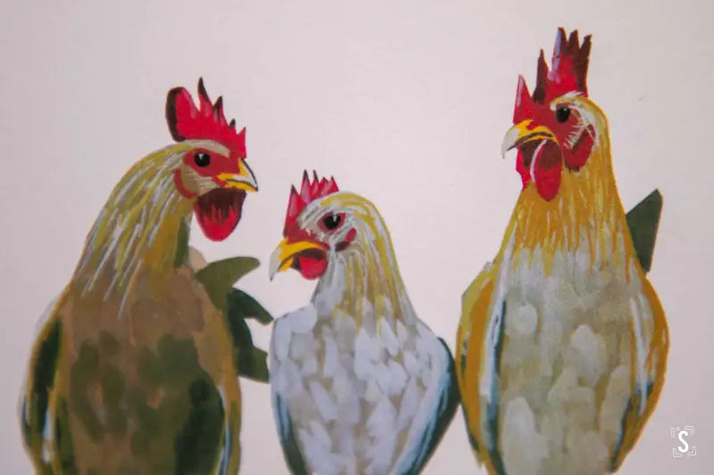 Chickens - Greeting Card - A5 - Here Comes the Girls - Greeting Cards