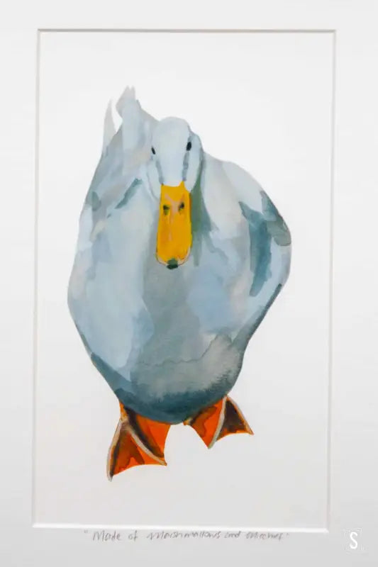 Framed White Duck Print - 21cm x 30cm - Art Prints