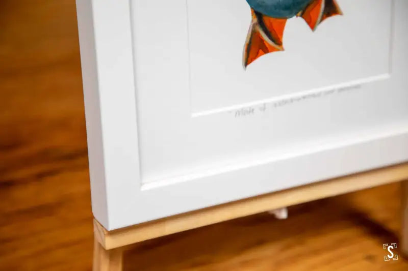 Framed White Duck Print - 21cm x 30cm - Art Prints