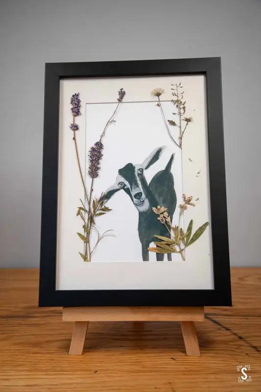 Goat in the Garden - Framed Print - 21cm x 30cm - Art Prints