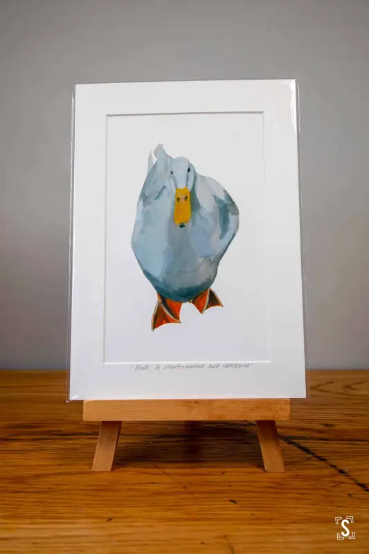 White Duck - Mounted Print - Art Prints