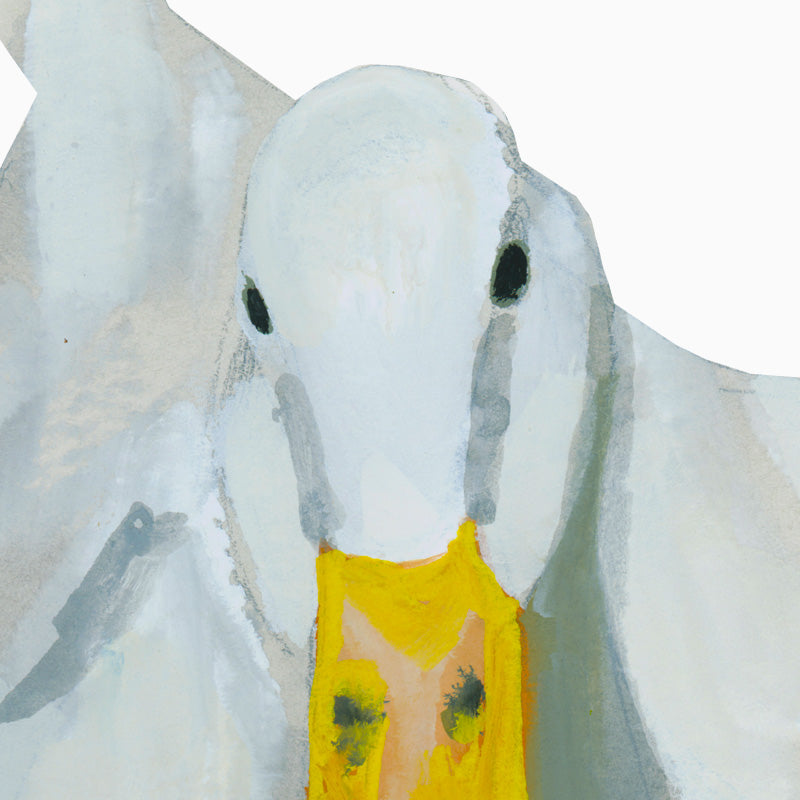 White Duck