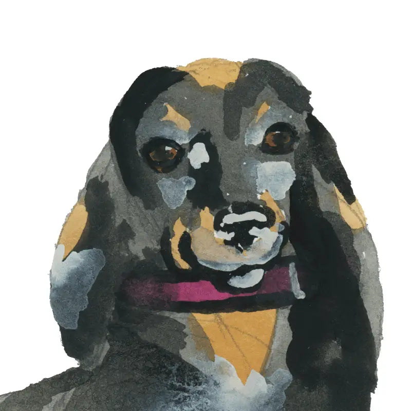 Dachshund