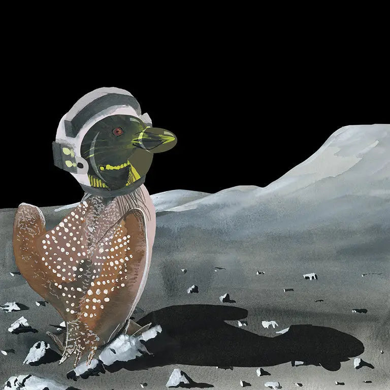 Loonar Landing