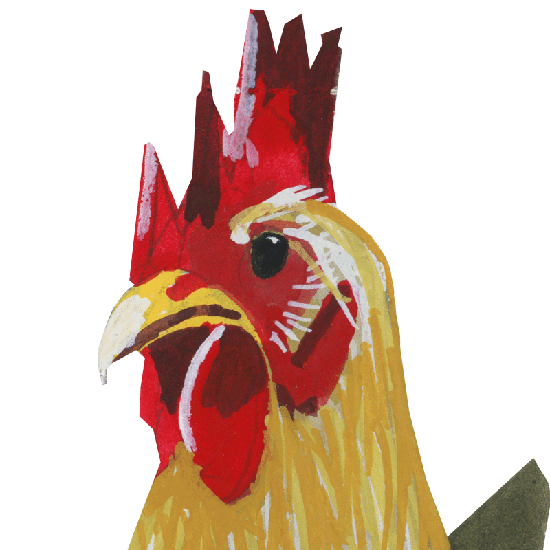Chickens