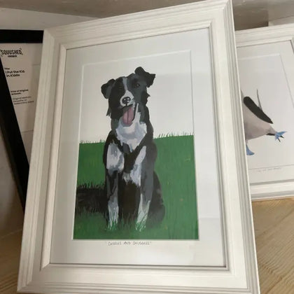 Collie - Framed Print - 26cm x 35cm