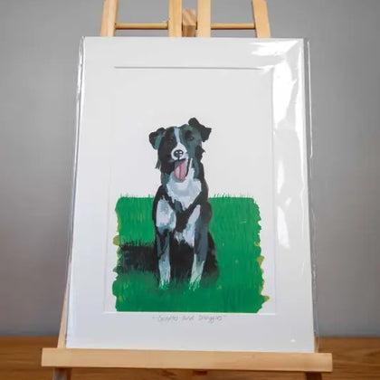 Collie - Mounted Print