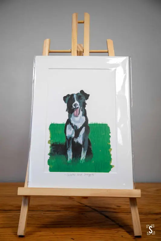 Collie Mounted Print Art Prints