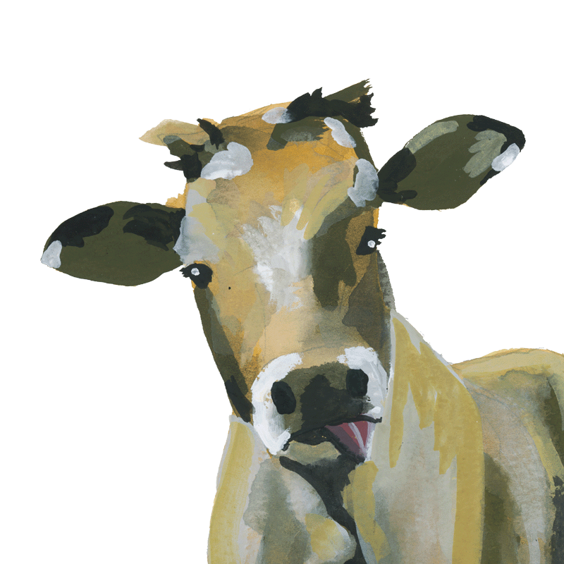Cow
