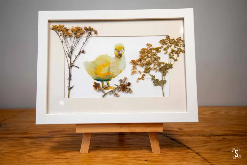 Duckling in the Garden - Framed Print - 21cm x 30cm - Art Prints
