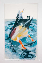 Framed Diving Duck Print - 21cm x 30cm - Art Prints
