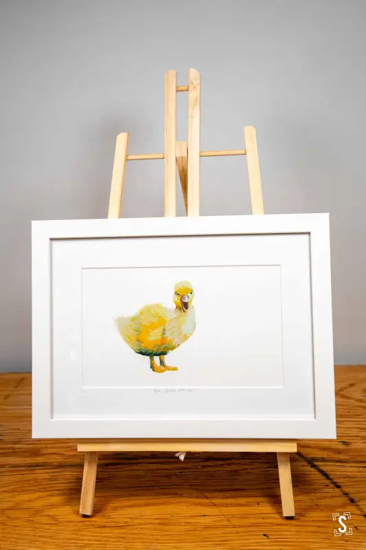 Framed Duckling Print - 21cm x 30cm - Art Prints
