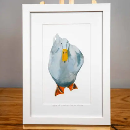 White Duck - Framed Print - 21cm x 30cm