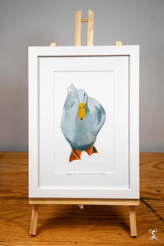 Framed White Duck Print - 21cm x 30cm - Art Prints