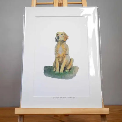 Golden Retriever - Mounted Print
