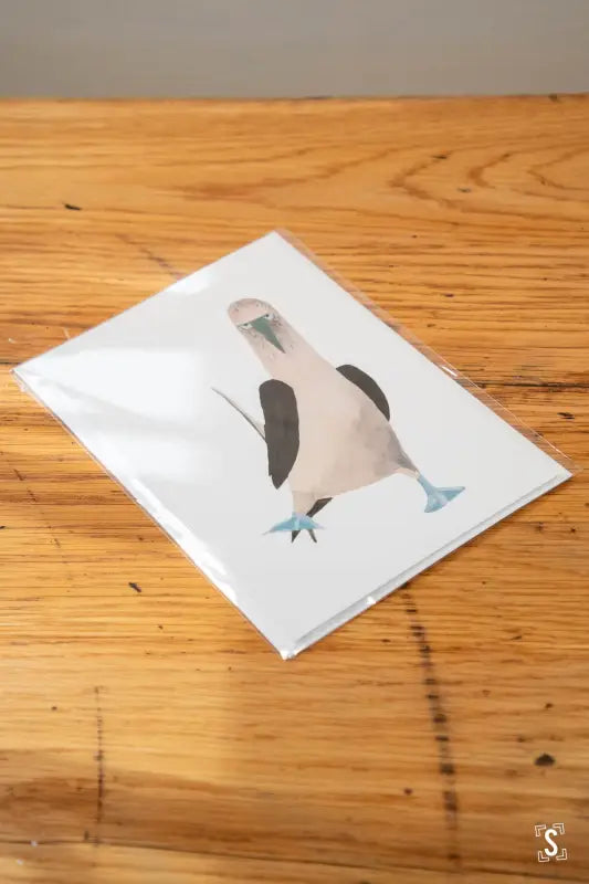 Drawing of a seagull on premium 150gsm feltmark card for the Greetings Card Booby