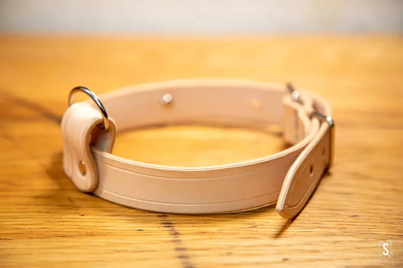 Beige leather pet collar with metal hardware from Leathercraft Workshop, March 2 2025