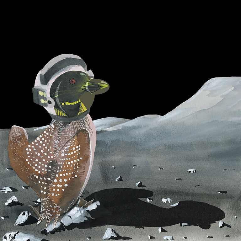 Loonar Landing