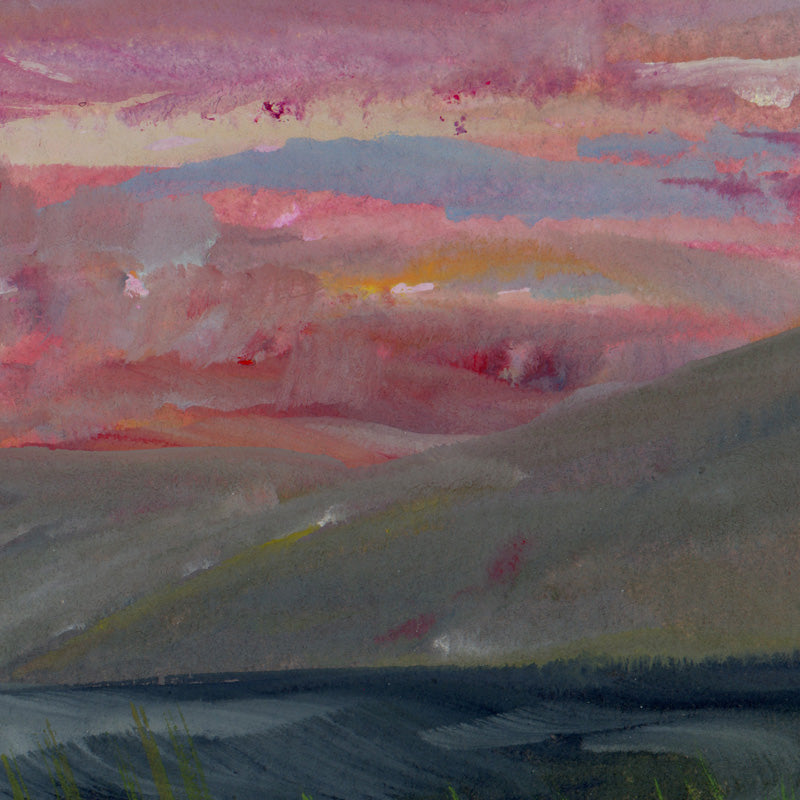 Pink Sky Landscape