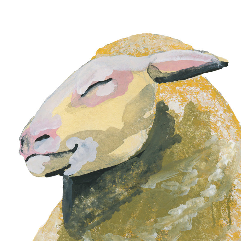 Sheep