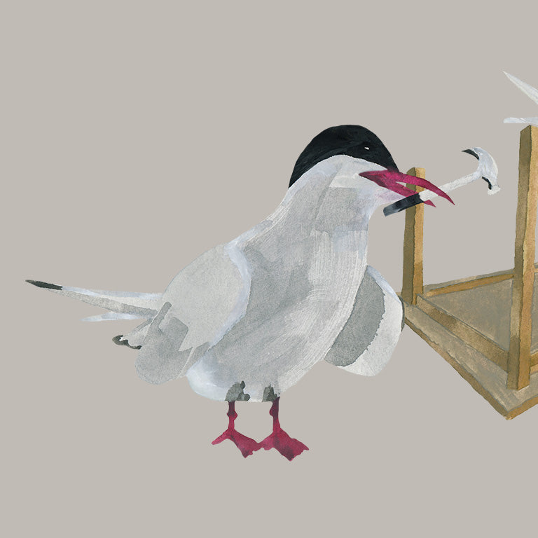 Terns Have Tabled