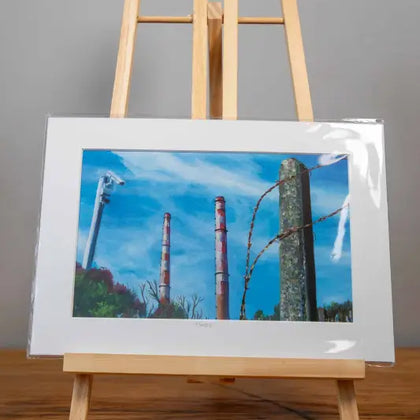 Towers - Mounted Print