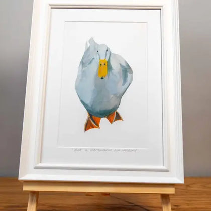 White Duck - Framed Print - 26cm x 35cm